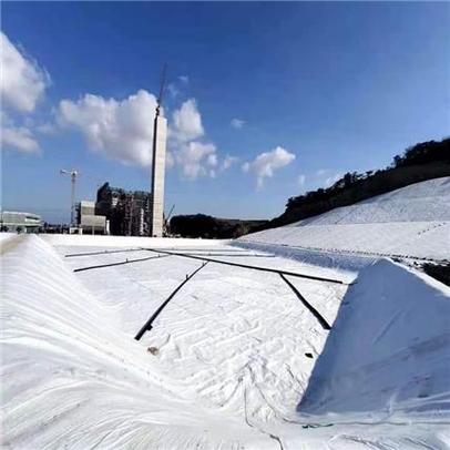 景观湖与堤坝防渗工程中HDPE土工膜的应用与供应优势