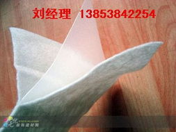 防水卷材市场新动向 防渗土工膜应用与商业机会探讨