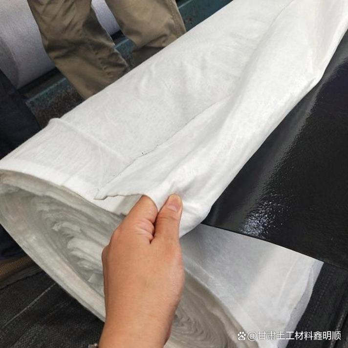 防渗土工膜采购指南 如何寻找甘肃地区可靠的源头厂家？